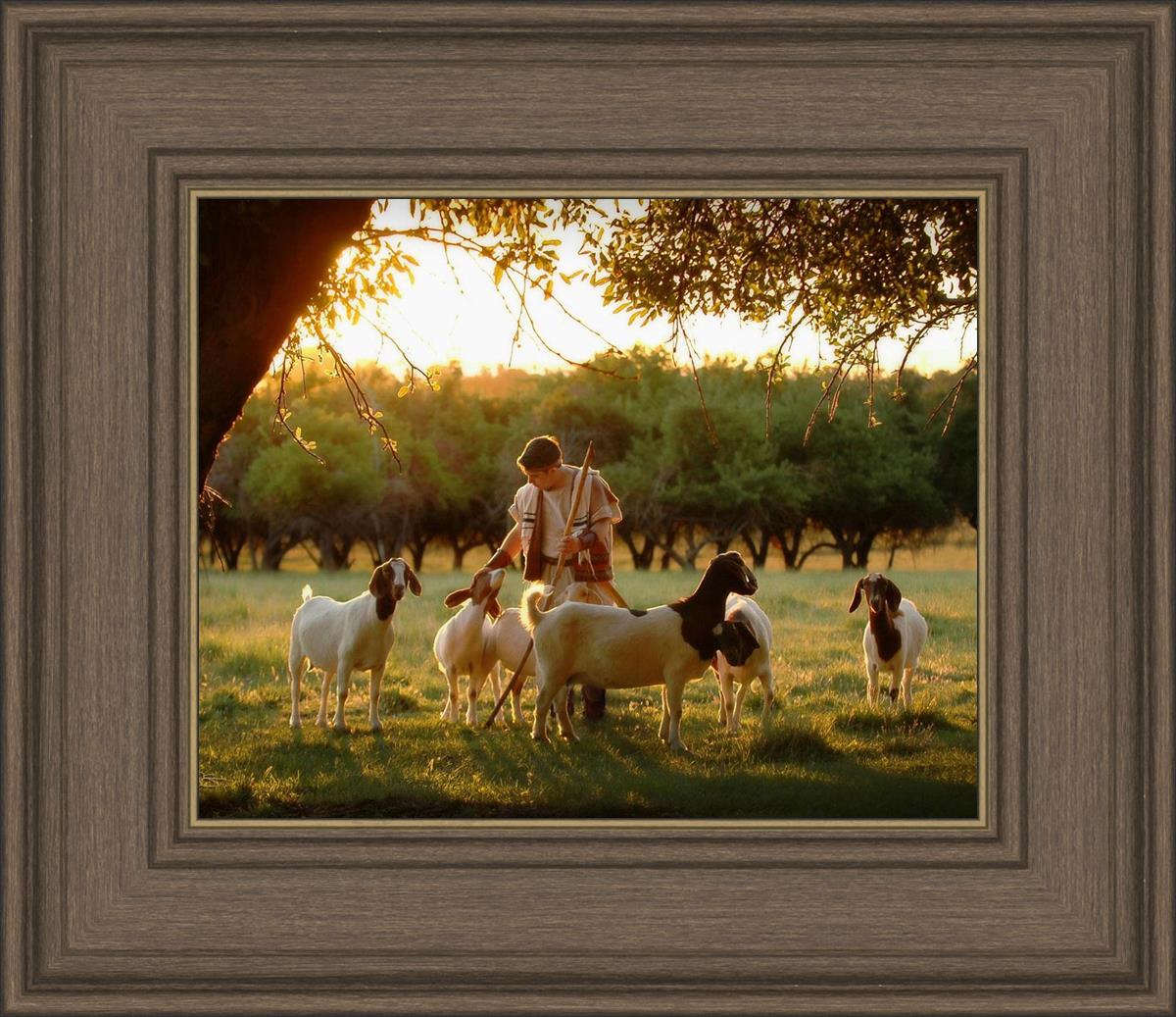 Tending the Flock
