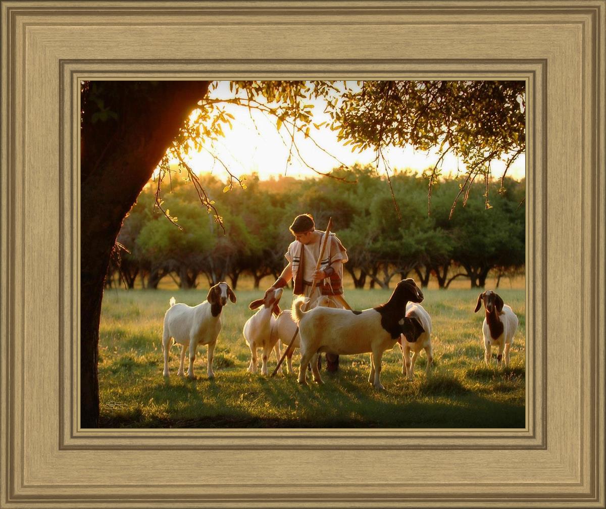 Tending the Flock