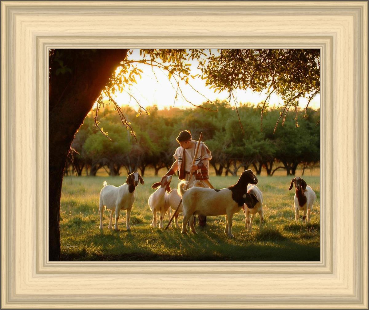 Tending the Flock
