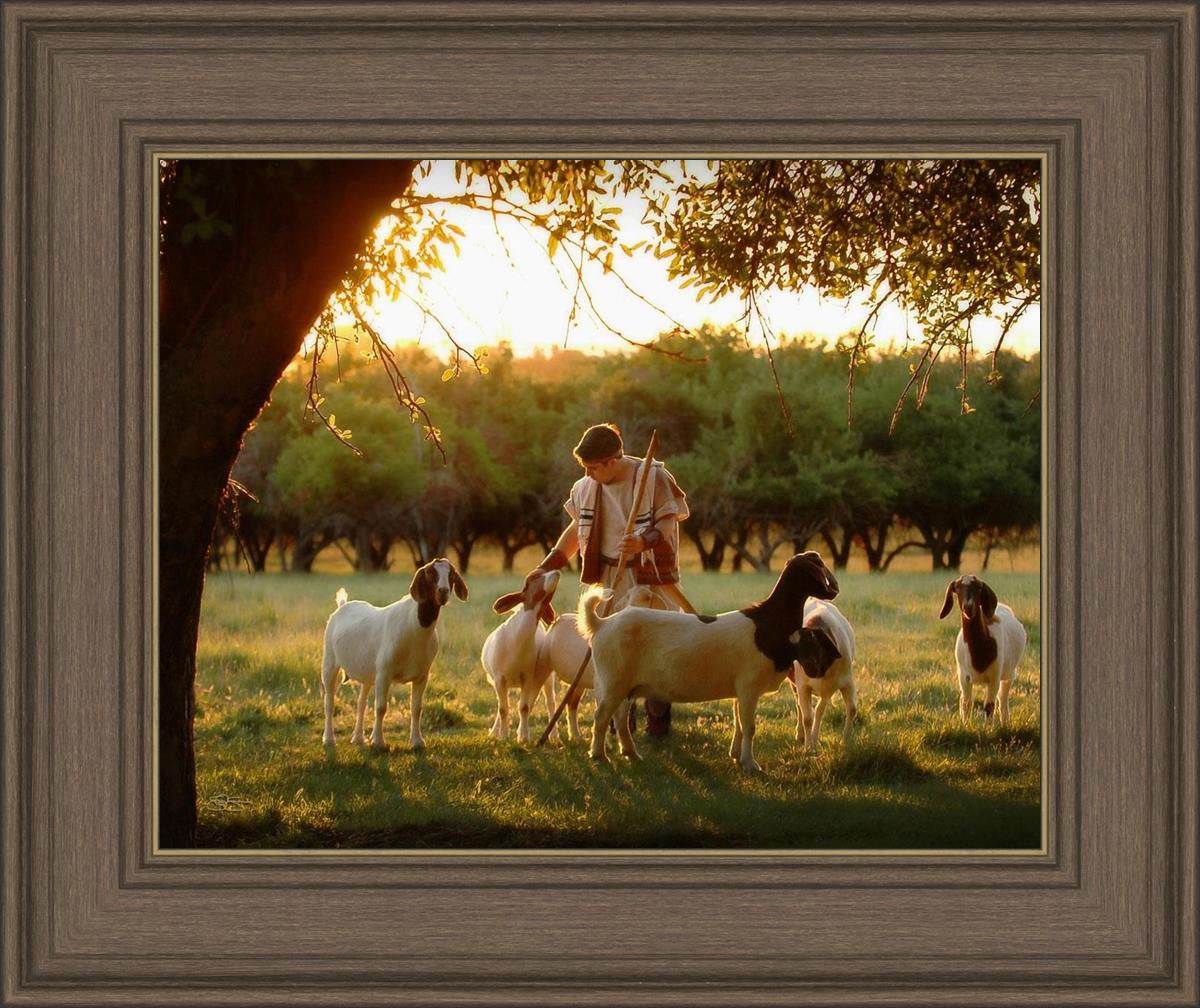 Tending the Flock