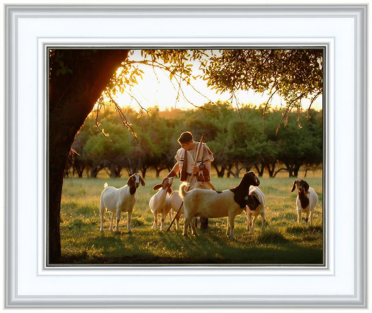 Tending the Flock