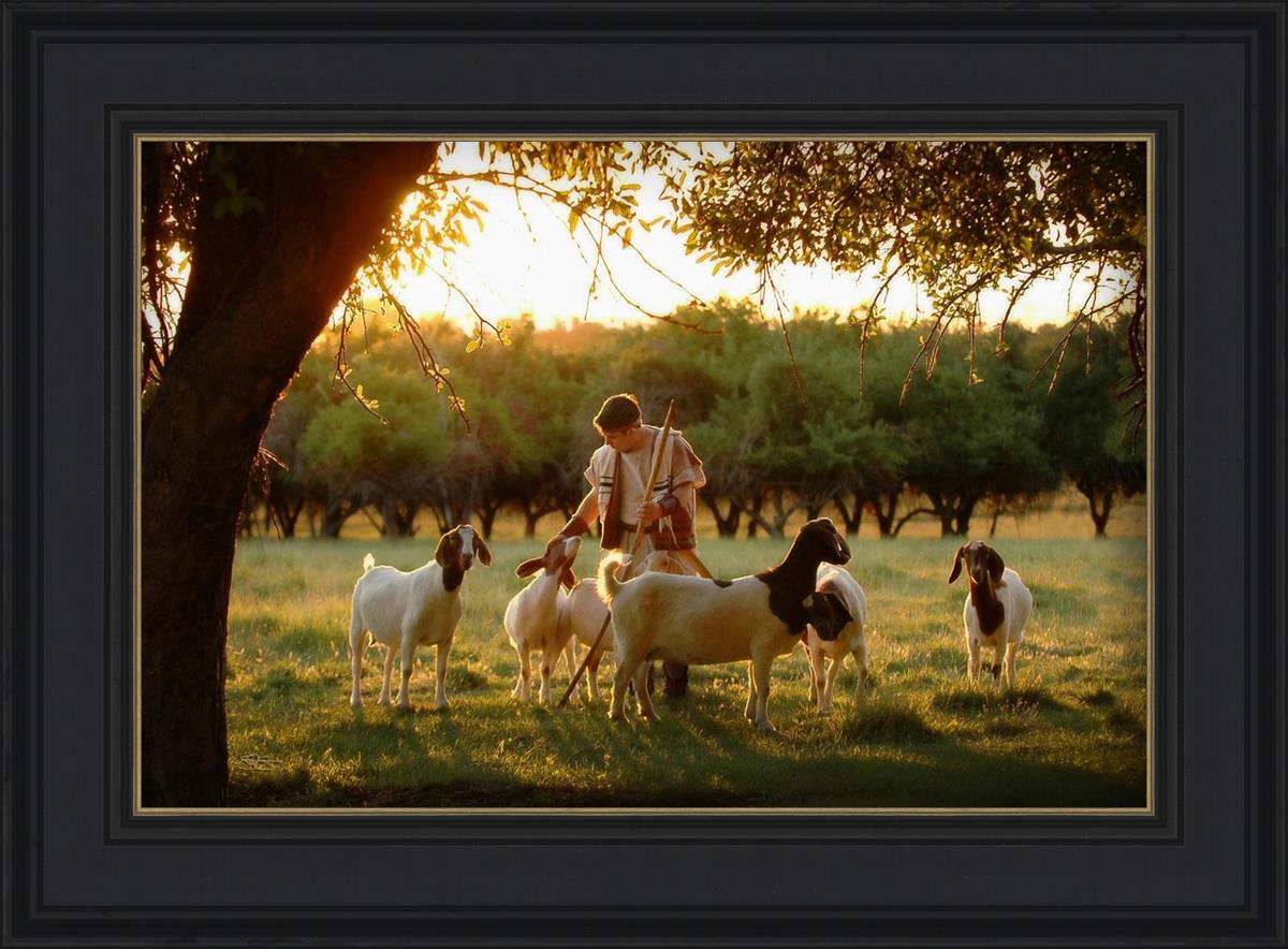 Tending the Flock