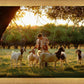 Tending the Flock