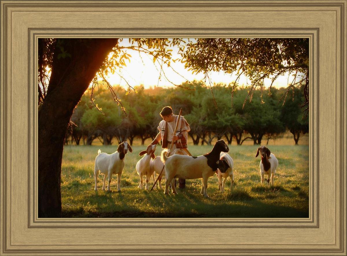 Tending the Flock