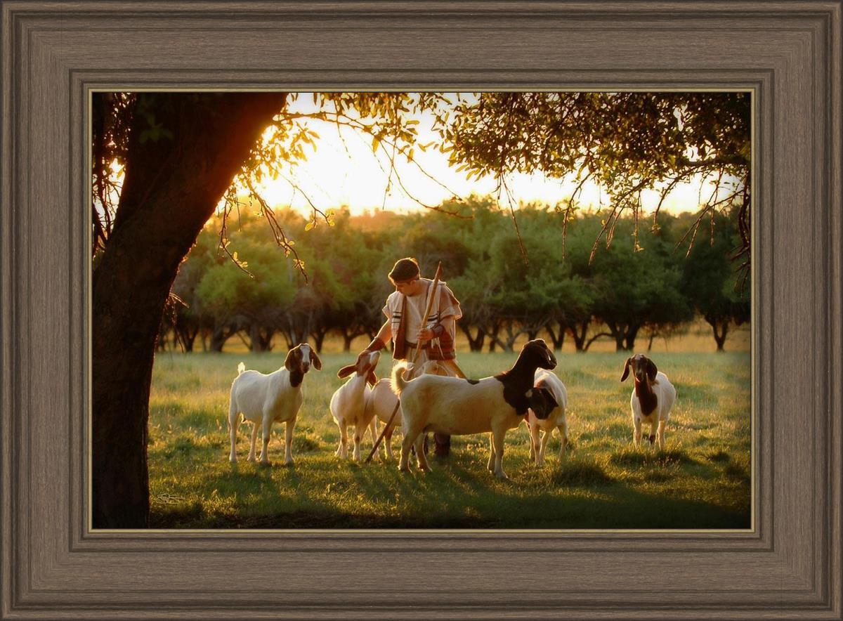 Tending the Flock