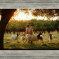 Tending the Flock