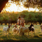 Tending the Flock