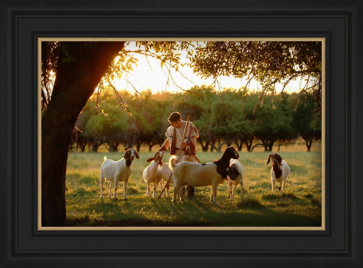 Tending the Flock