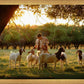 Tending the Flock