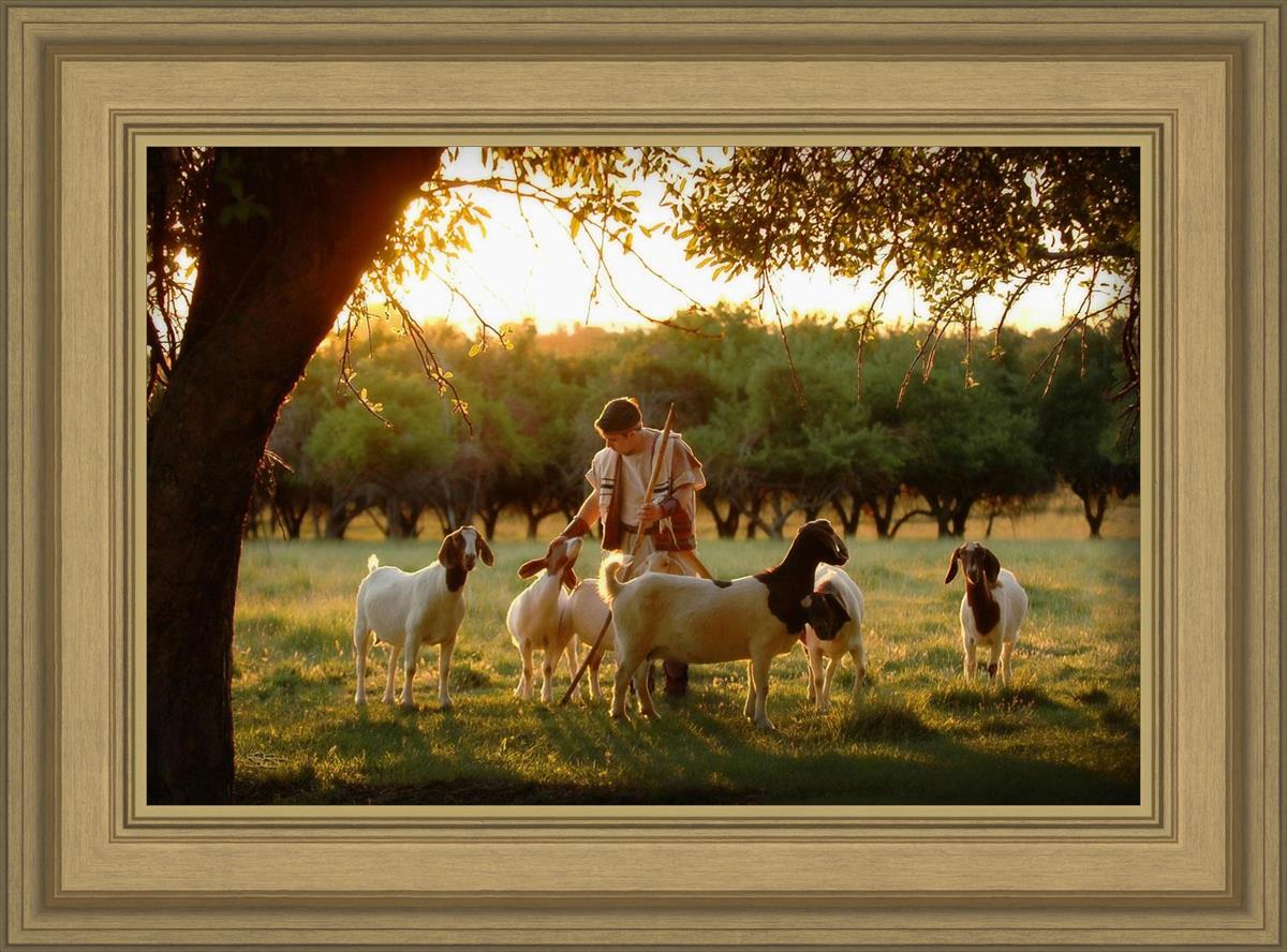Tending the Flock