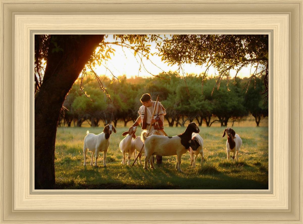 Tending the Flock