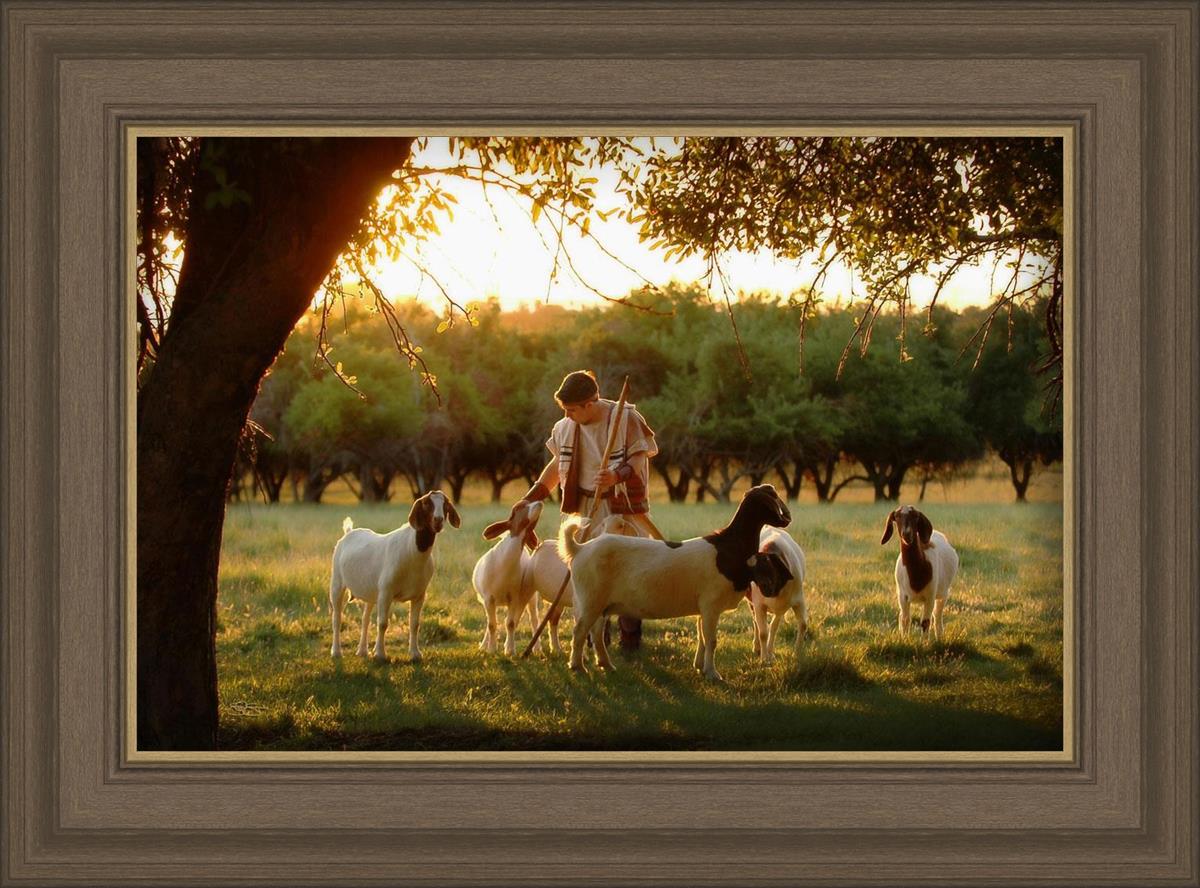 Tending the Flock