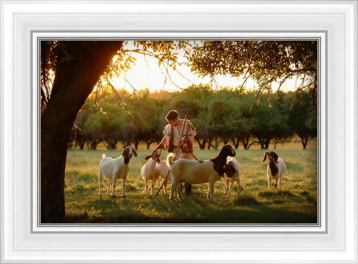 Tending the Flock