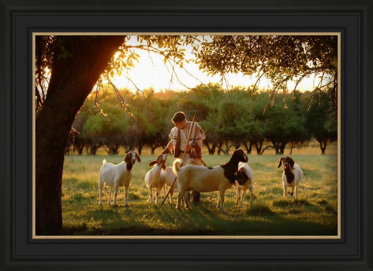 Tending the Flock