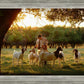 Tending the Flock