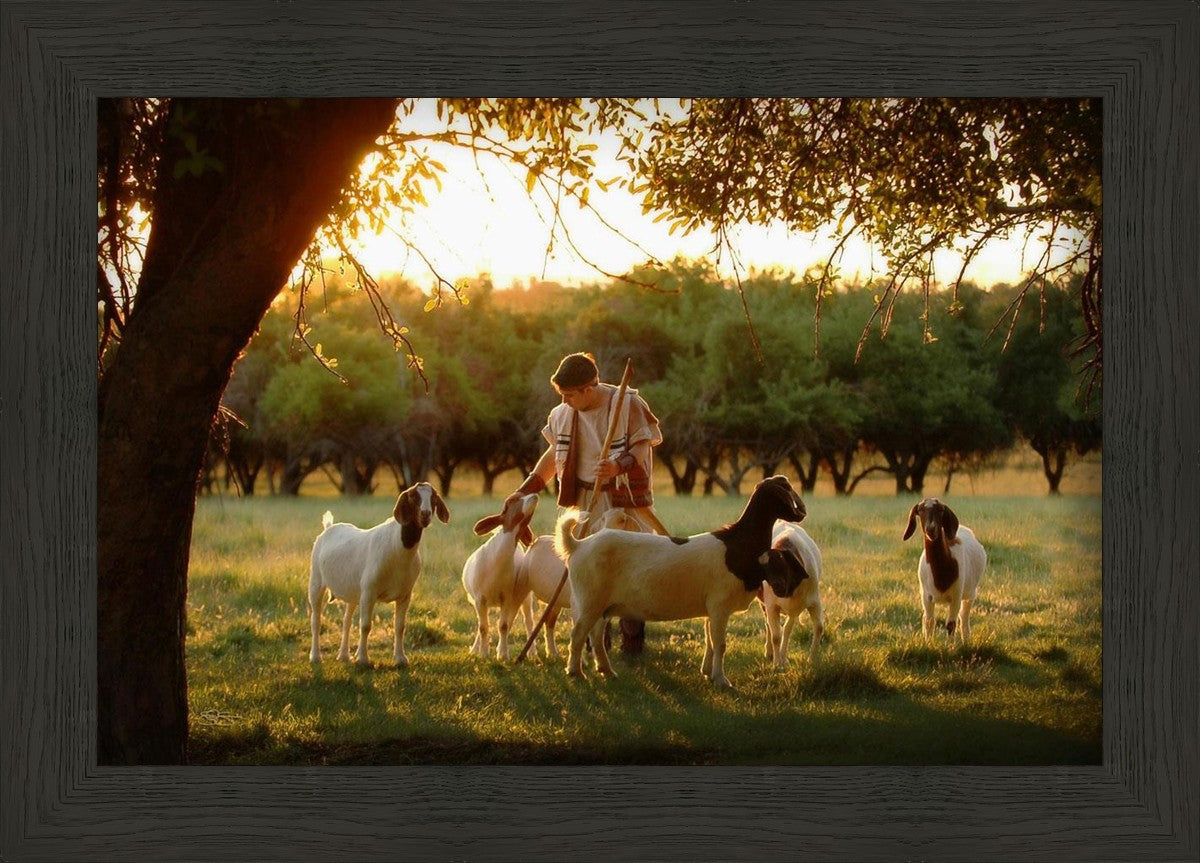 Tending the Flock