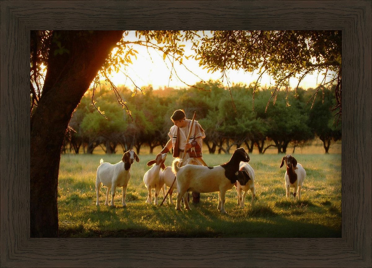 Tending the Flock