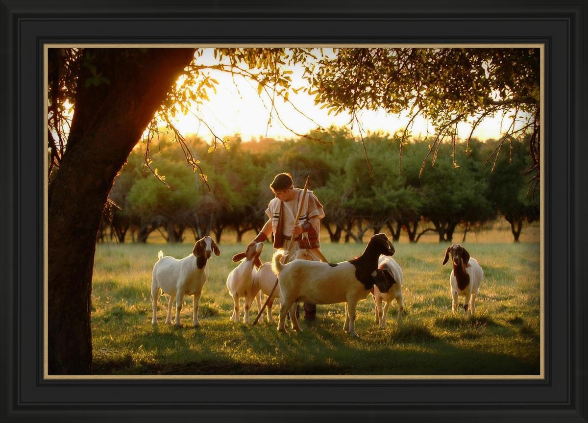 Tending the Flock