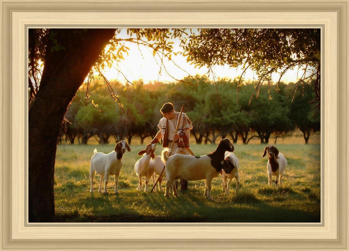 Tending the Flock