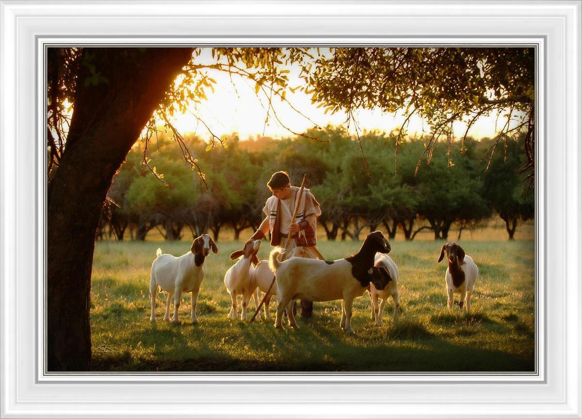 Tending the Flock