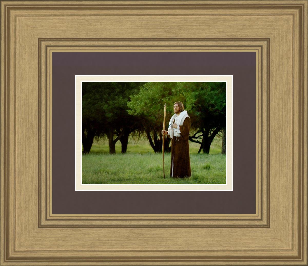 Lord Of The Vineyard