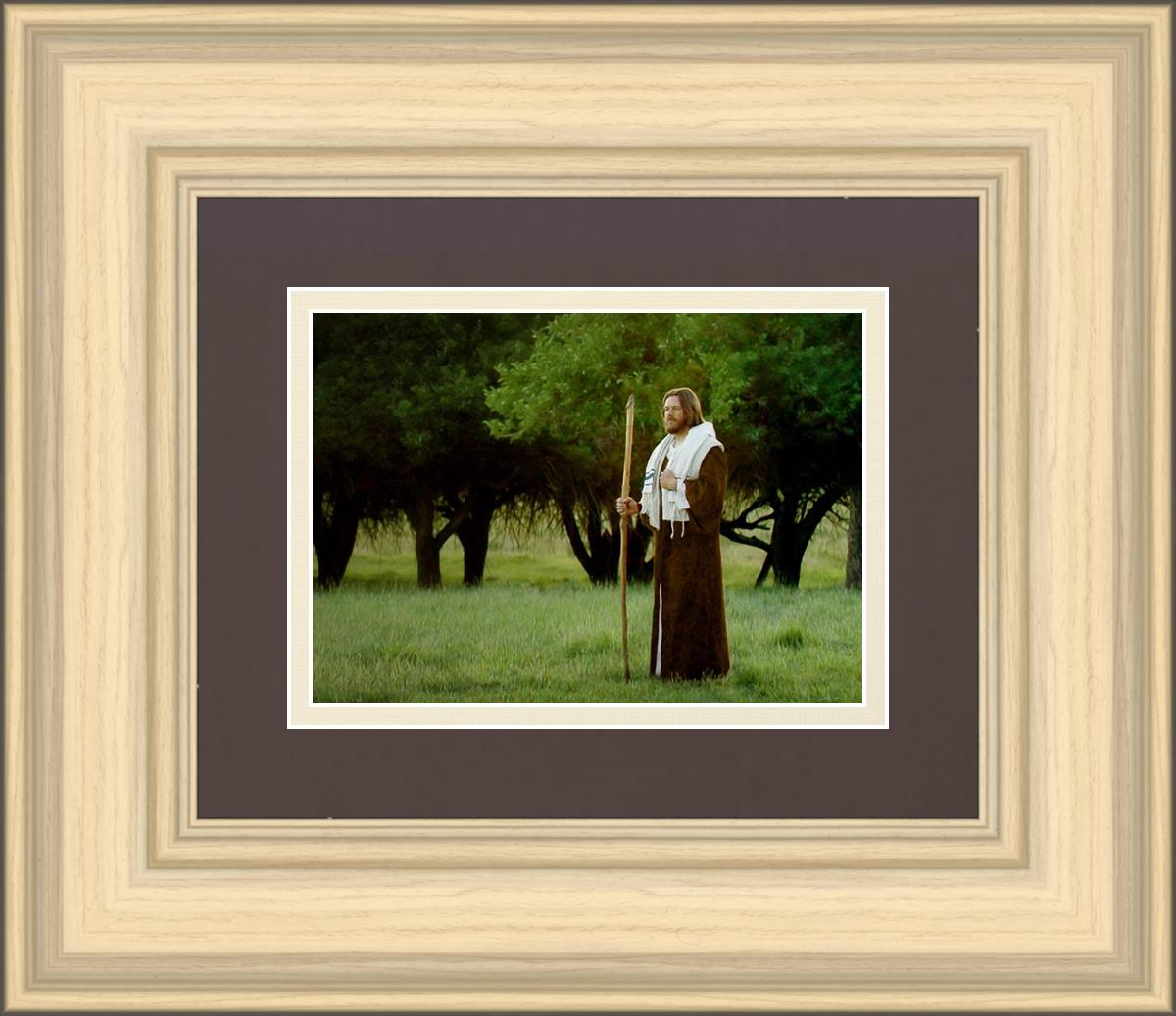 Lord Of The Vineyard