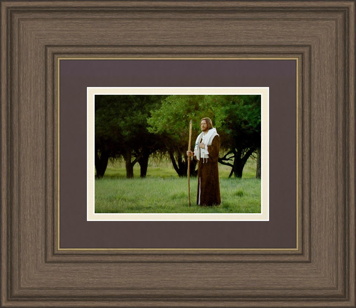 Lord Of The Vineyard