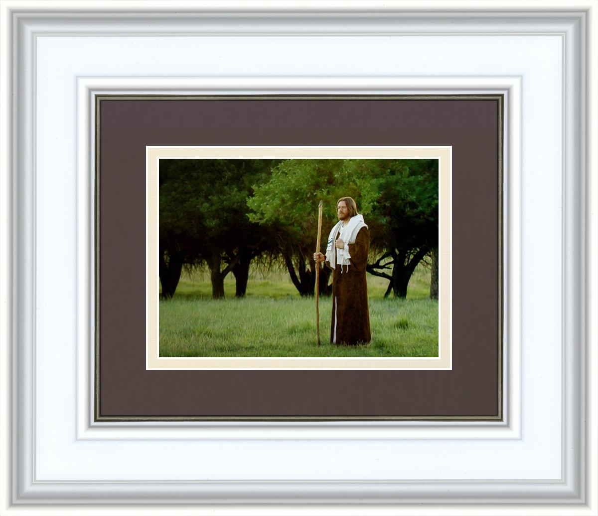 Lord Of The Vineyard