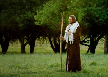 Lord Of The Vineyard