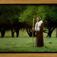 Lord Of The Vineyard