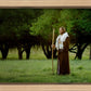 Lord Of The Vineyard