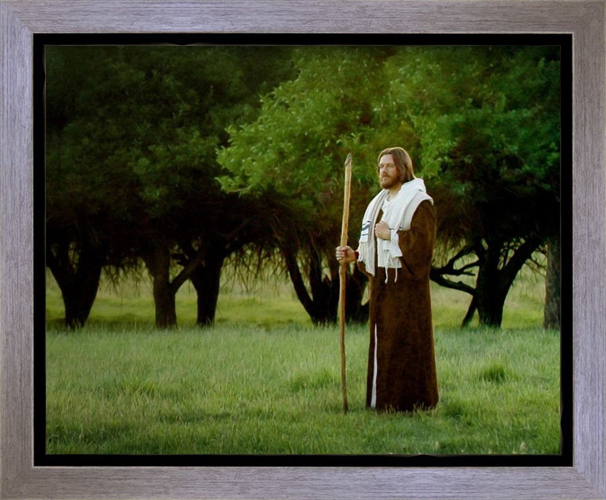 Lord Of The Vineyard Gallery Wrap