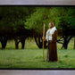 Lord Of The Vineyard