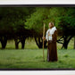 Lord Of The Vineyard