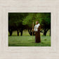 Lord Of The Vineyard