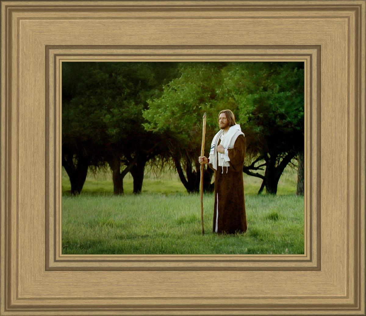 Lord Of The Vineyard