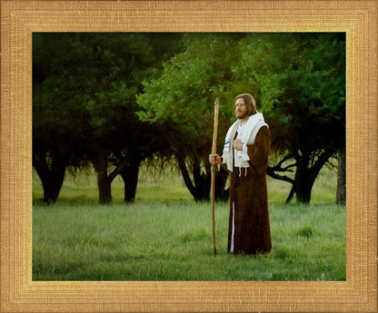 Lord Of The Vineyard