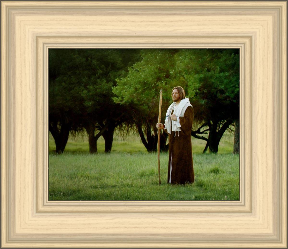 Lord Of The Vineyard