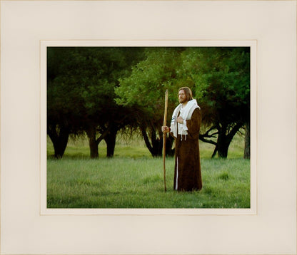 Lord Of The Vineyard