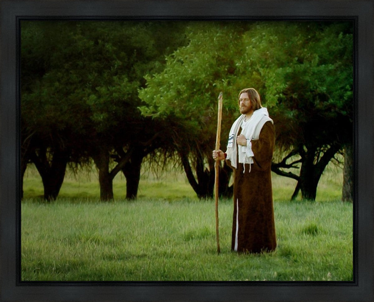 Lord Of The Vineyard Gallery Wrap