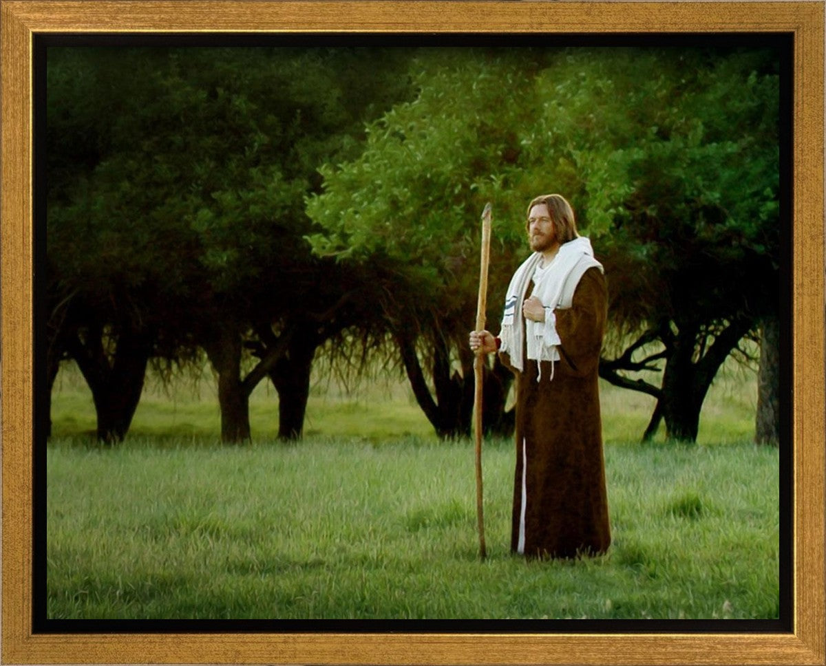 Lord Of The Vineyard Gallery Wrap