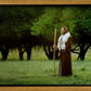 Lord Of The Vineyard