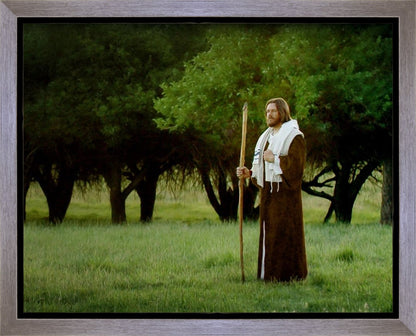 Lord Of The Vineyard