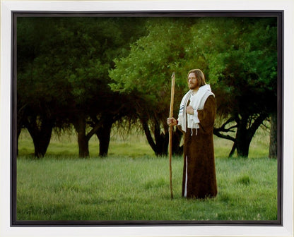 Lord Of The Vineyard