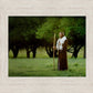 Lord Of The Vineyard