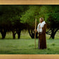 Lord Of The Vineyard