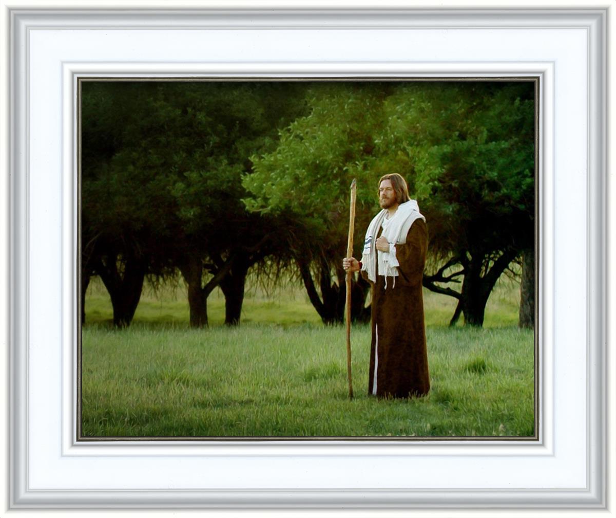 Lord Of The Vineyard