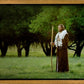 Lord Of The Vineyard