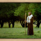 Lord Of The Vineyard