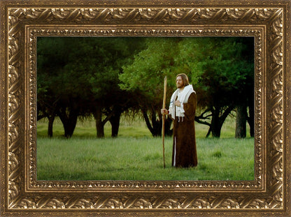 Lord Of The Vineyard